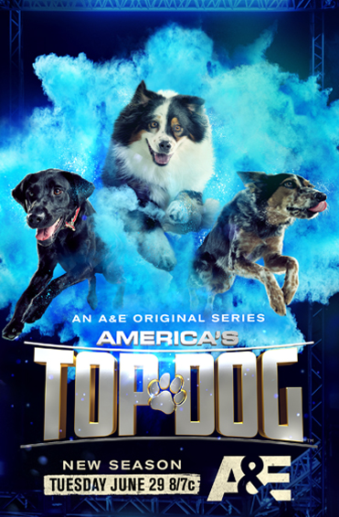 America’s Top Dog Poster