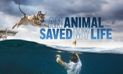 Television poster image for An Animal Saved My Life