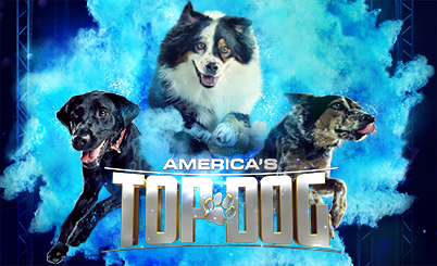 Television poster image for America’s Top Dog