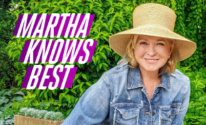 Television poster image for Martha Knows Best